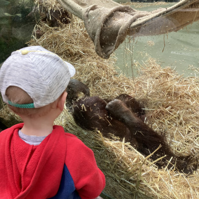 Ausflug in den Kölner Zoo