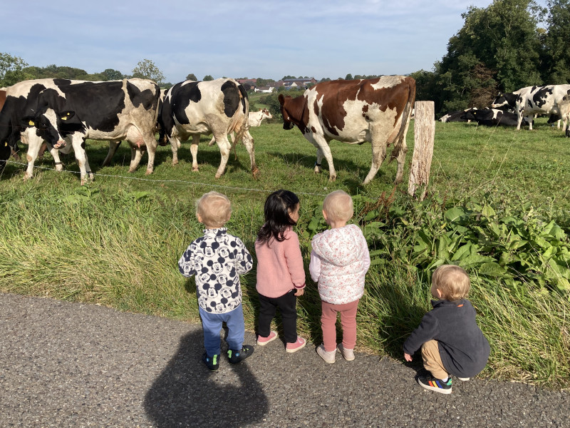 Tiere beobachten