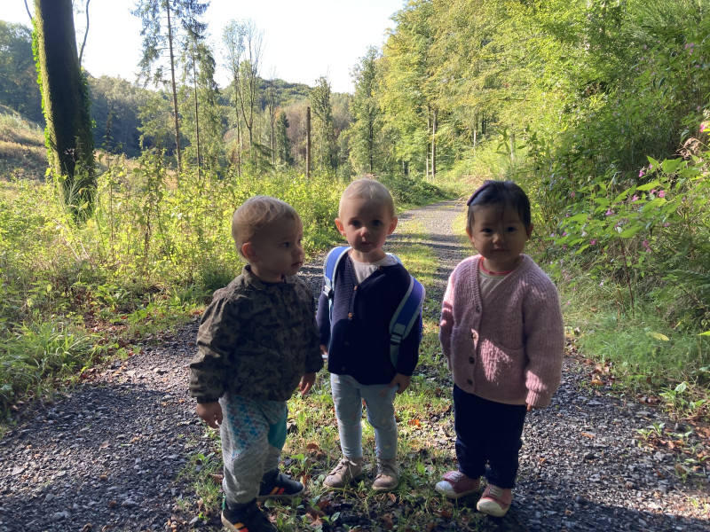 Waldausflug